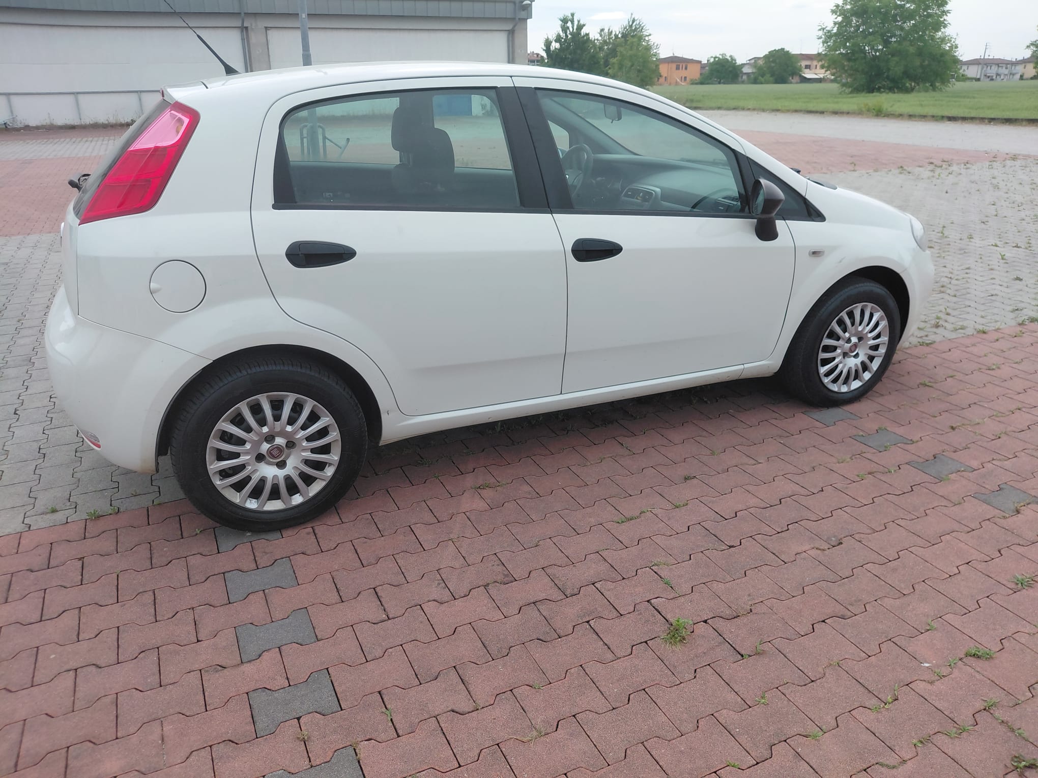 FIAT PUNTO 1.3 Multijet 75 CV 5 Porte Lounge