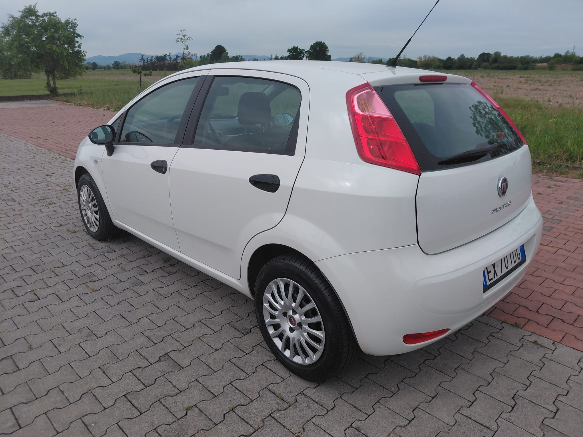 FIAT PUNTO 1.3 Multijet 75 CV 5 Porte Lounge - immagine 3