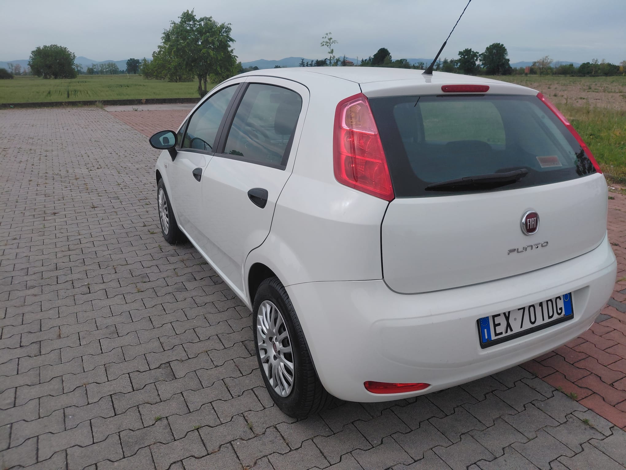 FIAT PUNTO 1.3 Multijet 75 CV 5 Porte Lounge - immagine 4