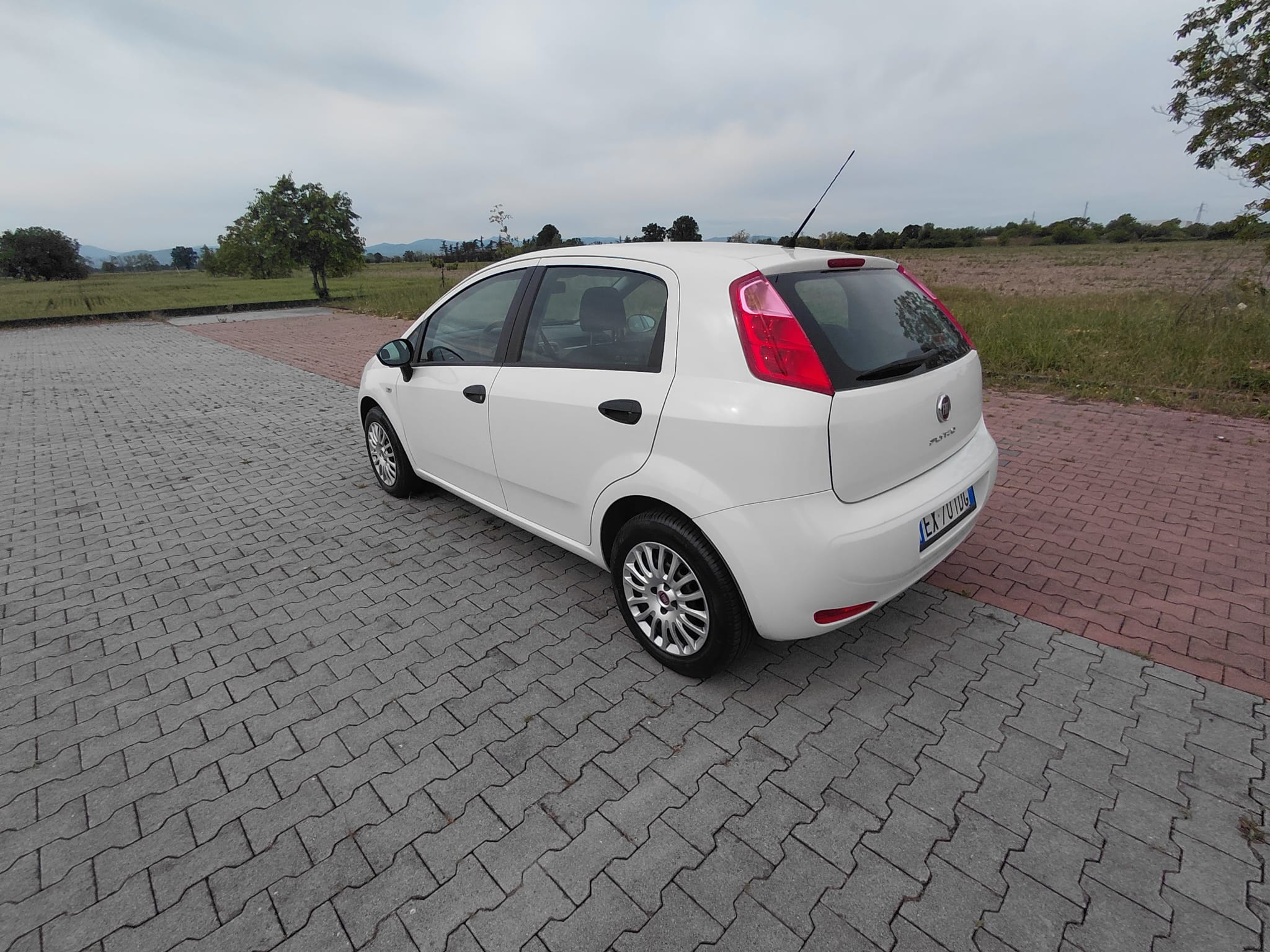 FIAT PUNTO 1.3 Multijet 75 CV 5 Porte Lounge - immagine 7